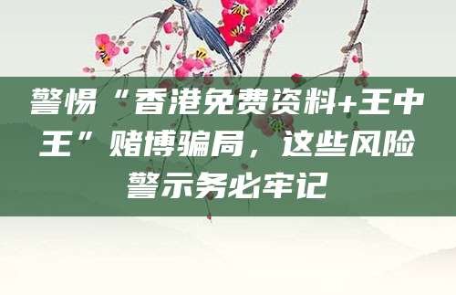 警惕“香港免费资料+王中王”赌博骗局，这些风险警示务必牢记