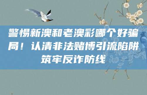 警惕新澳和老澳彩哪个好骗局！认清非法赌博引流陷阱筑牢反诈防线
