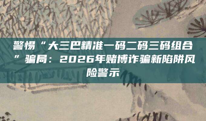 警惕“大三巴精准一码二码三码组合”骗局：2026年赌博诈骗新陷阱风险警示