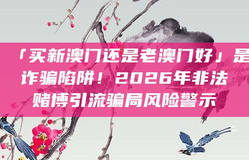 「买新澳门还是老澳门好」是诈骗陷阱！2026年非法赌博引流骗局风险警示