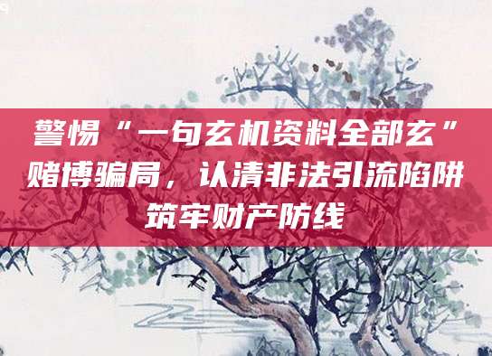 警惕“一句玄机资料全部玄”赌博骗局，认清非法引流陷阱筑牢财产防线